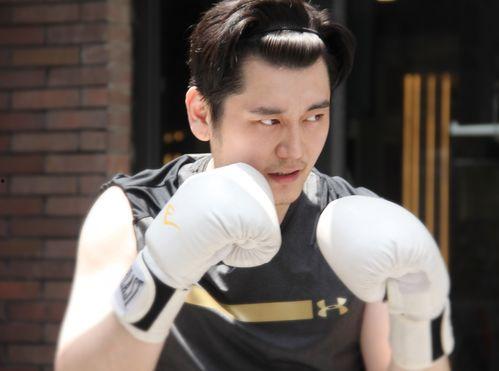 艺兴最新爆料事件视频大全,视频大全回顾与深度解析 第3张 艺兴最新爆料事件视频大全,视频大全回顾与深度解析 第3张