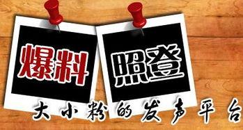 太行新闻爆料,揭秘某重大事件背后真相